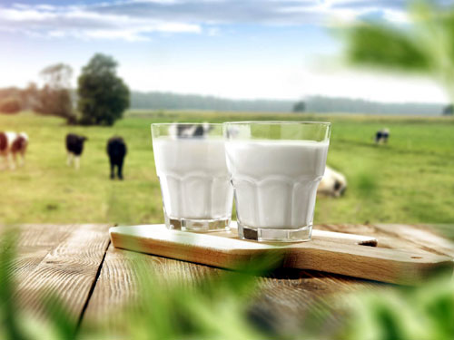 6 câu hỏi thường gặp khi uống sữa bạn nên biết